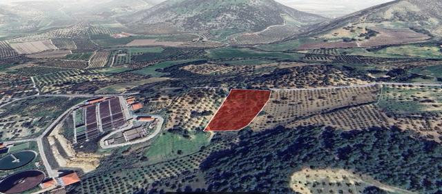 Kuşadası Kirazlıda Satılık / Yatırımlık Tarla 5