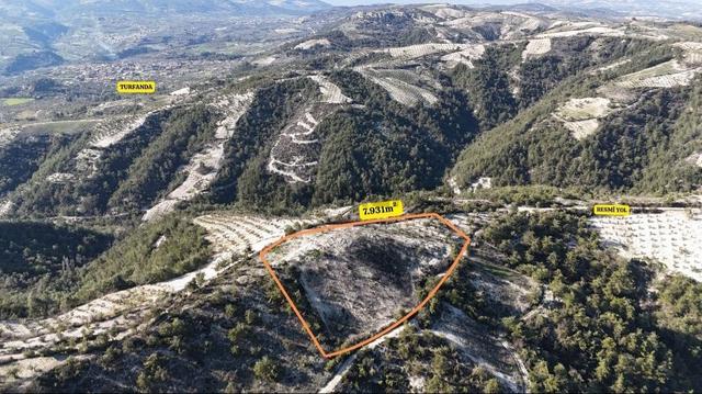 Dokuzdalda 7.9 Dönüm 2 Cephesi Yola Sıfır Parsel 2