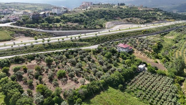 Altınözü Fatiklide Yola Sıfır Düz 3.4 Dönüm Parsel 5