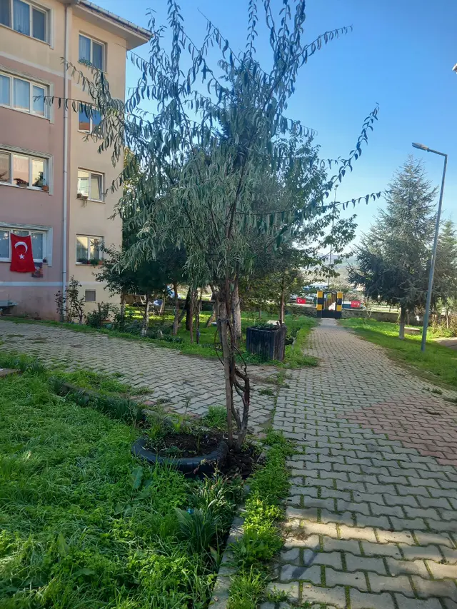 Sahibinden Satılık Karadenizmahdy Bloklarında 2