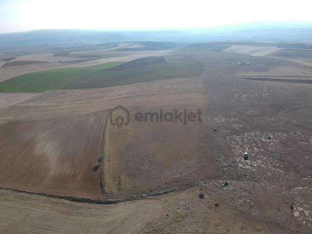 Eskişehir Sivrihisar 21.092 M2 Tarla Elektrik Su Yanında Düz Zemin 2