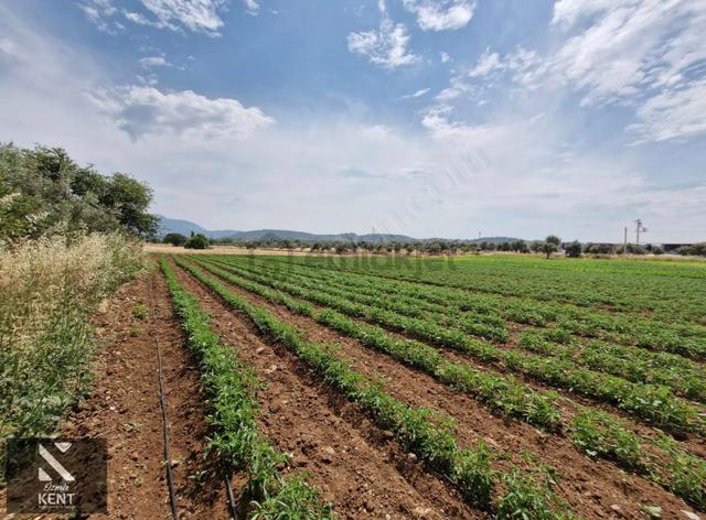 Buca Karacaağaç Satılık 3600 M2 Merkezde Tarla 5