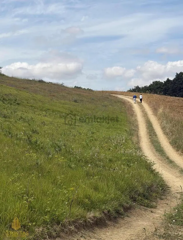 Kandıra Karlı'da 1853 M² Yatırımlık Tarla Kaçırılmayacak Fırsat 3