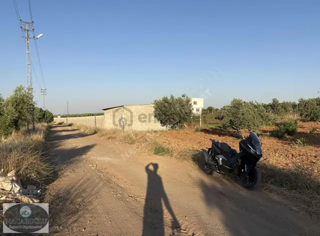 Ncr'den Salabıyanda 6.700m2 Bağ Evlik,evladiyelik Muhteşem Mülk 5