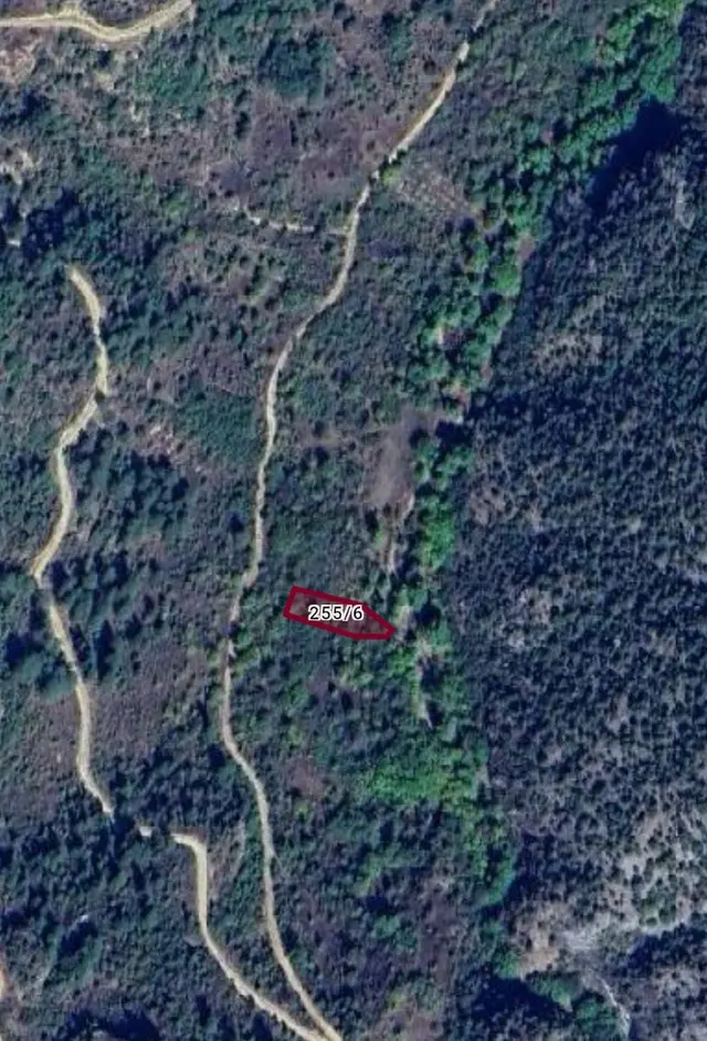 Profasor * Dan 700 M2 Bahçe Kadastro Yol Ve Dereye Cephe 2