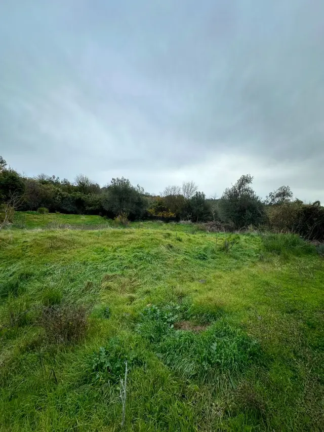 Bergama Koyunderede Satılık Tek Tapu 707 M2 Bahçe 3