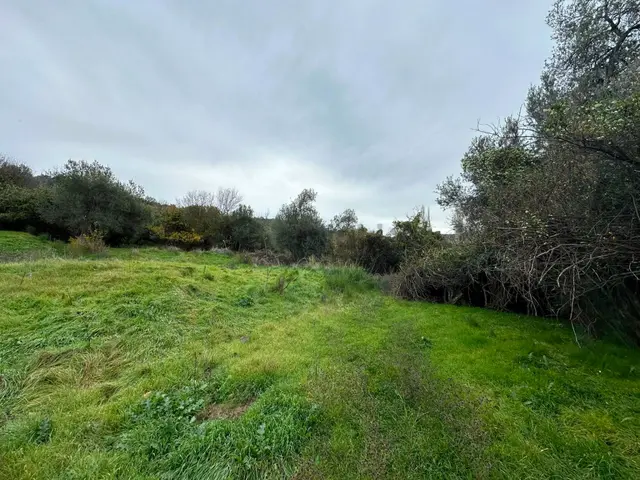 Bergama Koyunderede Satılık Tek Tapu 707 M2 Bahçe 2