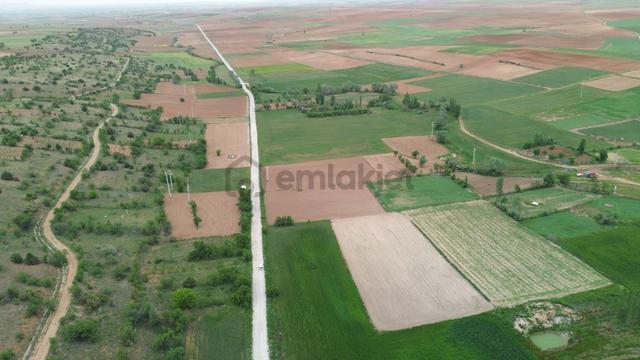 Güneysınır Aydoğmuşda 961 M2 Müstakil Tapulu Asfalt Yola Cepheli Tarla 5
