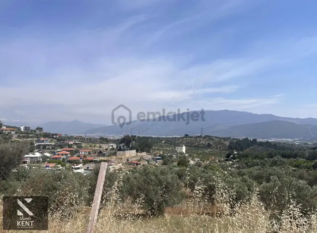 Ulucak Üstü Cevizli Yayla'da Satılık Hobi Bahçesi 2
