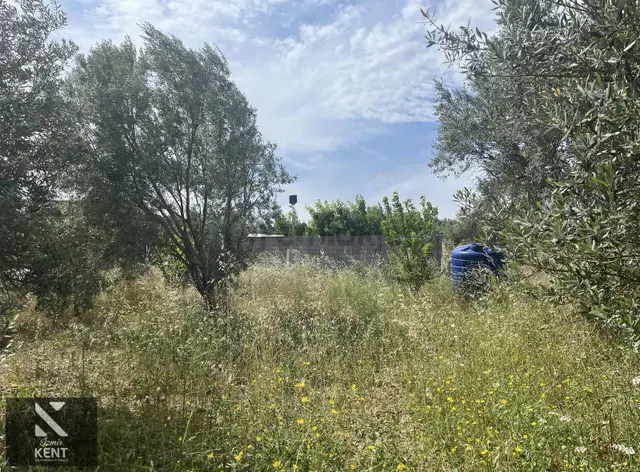Ulucak Üstü Cevizli Yayla'da Satılık Hobi Bahçesi 3