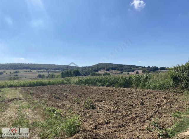 Adapazarı Salmanlı Da Baraj Yakınında 1368m2 Yatırımlık Tarla 5