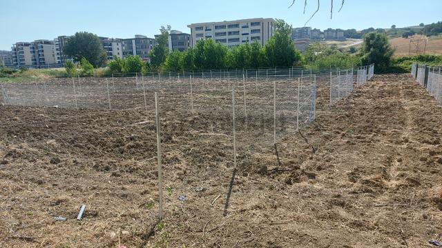 Kayapada Resmi Kadastro Yoluna Cephe 330m2 Kiralık Hobi Bahçesi 4