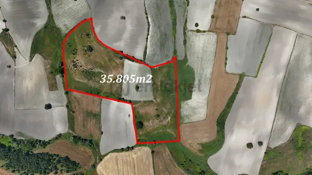 Balıkesir Susurluk Söve De Yatırımlık 35800 M² Tarla 1
