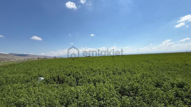 Öz Gaye Emlaktan Develi Sindelhöyük Mahallesinde Satılık Tarla 5