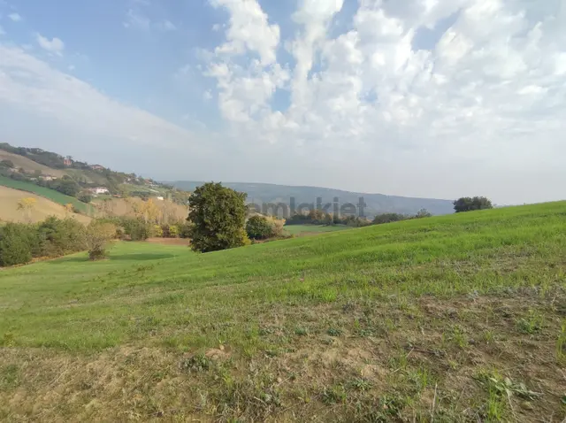 Remax Parladan Sinop Gerzede Satılık Tarla 3
