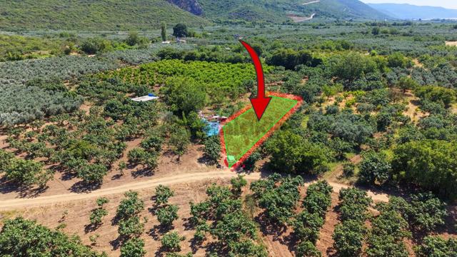 Nilüfer Fadıllı Satılık 550m² İncir Bahçesi 4