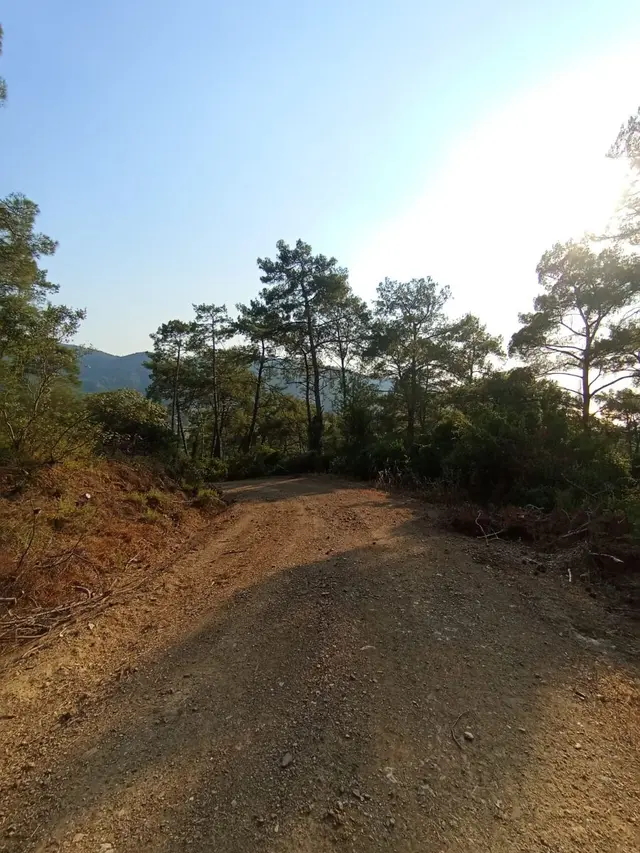 Marmaris Çetibelinde Denize Yakın Fırsat 3.174 M² Satılık Arazi 4