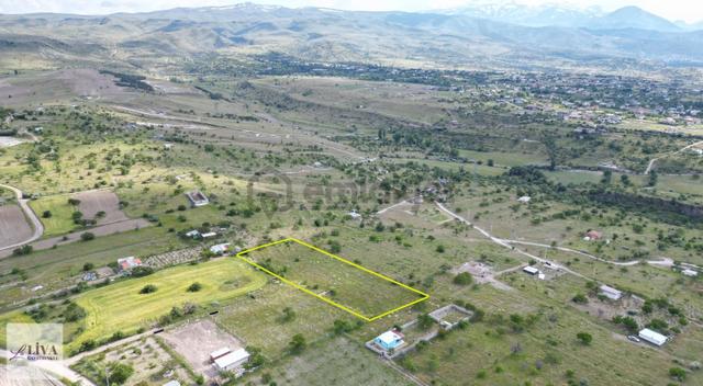 Liva'dan Reşadiye'de Harika Konumda 4124 M² Tek Tapu Bağ 3