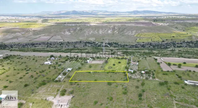 Liva'dan Reşadiye'de Harika Konumda 4124 M² Tek Tapu Bağ 2