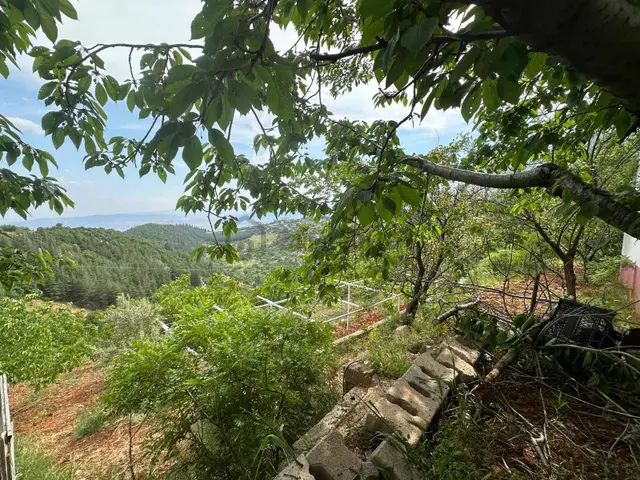 Remax Yeni'den Kuzey Çevre Yolu Üstünde Satılık Bağ & Bağ Evi 5