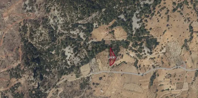 Muğla Menteşe Çatakbağyaka Mah. Satılık 1.729 M2 Tarla 2