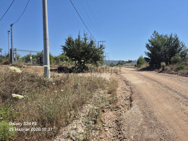 Milas Kuzyakada Yola Sıfır 9.656 M² Yatırımlık Tarla 5