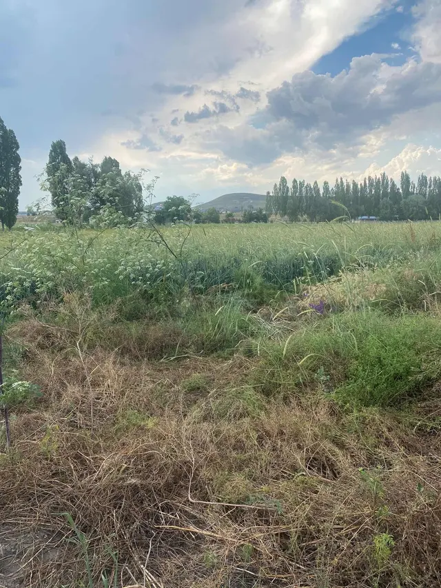 Bozoklu Emlaktan Akören De Satılık Arsa 3