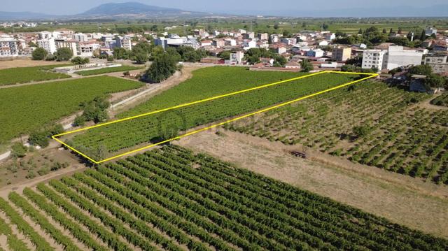 Manisa Saruhanlı İmar Dibi Yatırımlık Bağ 2864 M2 5