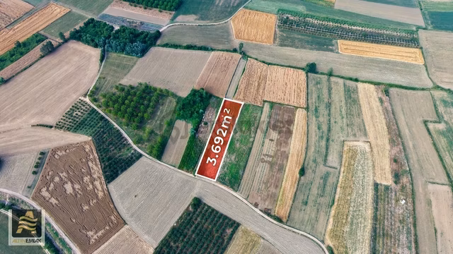 Serdivan Meşeli' De Yolu Ve Sulama İmkanı Olan Fırsat Tarla