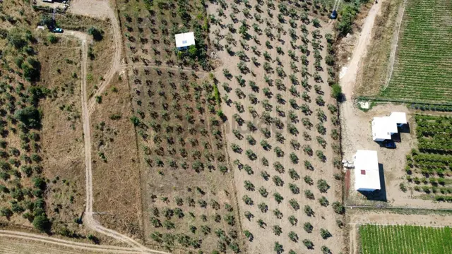 Torbalı Ahmetli Köyünde Satılık 6000 M2 Tarla 5