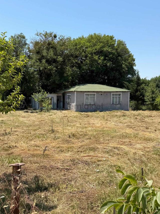 1250 M2 Tek Tapu Tarla İçinde Yola Cephe 2+1 Müstakil Ev 5