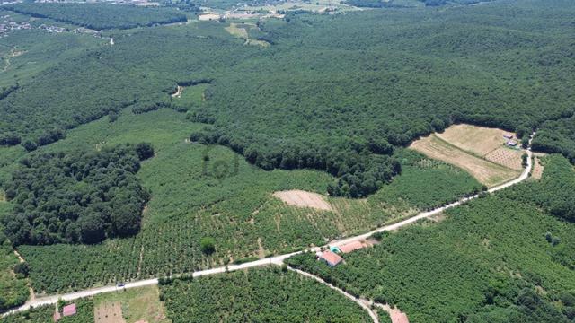 Karateke Köy Merkezinde 16788m2 Satılık Arsa 4