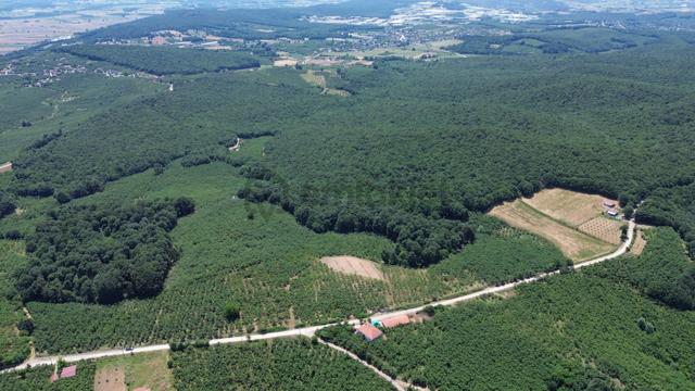 Karateke Köy Merkezinde 16788m2 Satılık Arsa 5