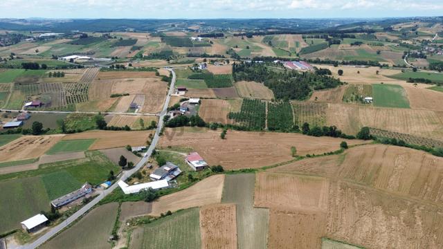 Sıraköy Köy Merkezine 50m Mesafede Yatırımlık Fındık Bahçesi 2