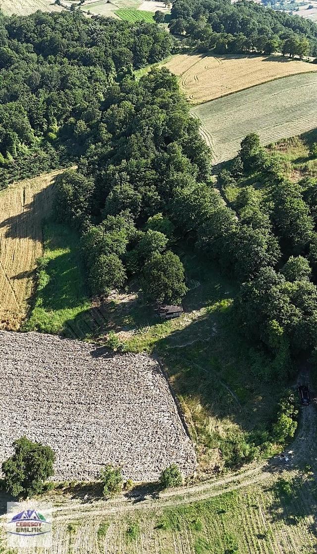 Kaynarca Şeyhtımarı Mahallesi'nde Doğayla İç İçe Satılık Tarla 4