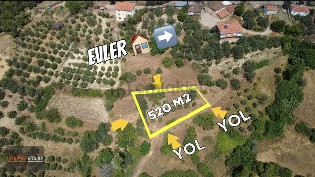 Tek Tapu | Akhisar Akçaalan Satılık 520m² | Bahçe & Zeytinlik 1