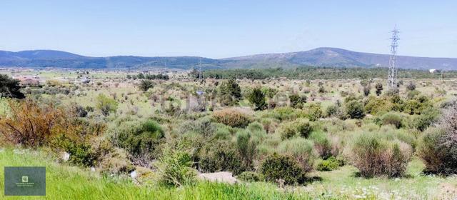Urla Birgi'de, Doğanın Kalbinde Değerli Bir Yatırım Fırsatı 4
