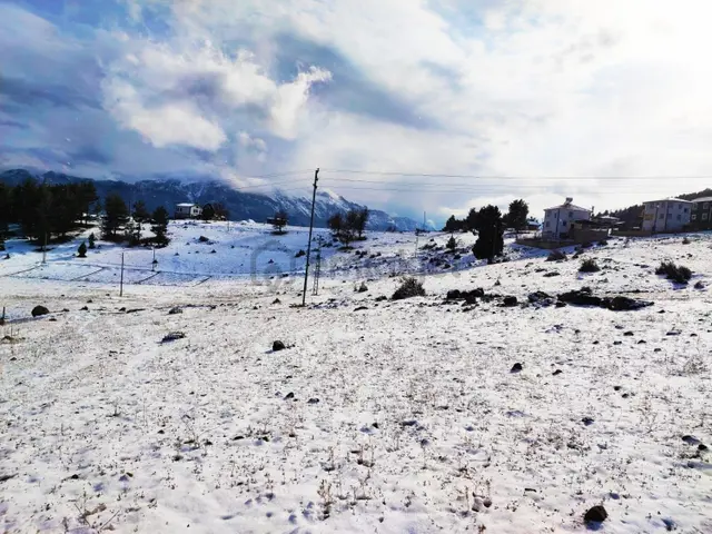 Yeni Konacık Bozkırlı Mevkiinde Yaylalık 350 M2 Satılık Arsa 4