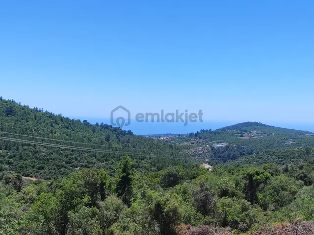 Esenpınar Ağlıcada Satılık Deniz Manzarali Tarla