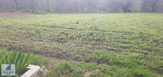 Köye 160 Mt Uzaklıkta, İmar Sınırı İçerinde , Yapılaşmaya Uygun 3