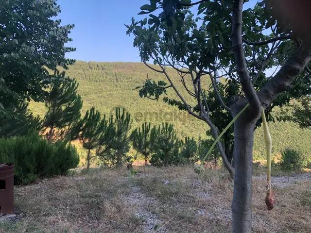 Yenişehir Yeni Köyde Tek Tapu 4550m2 Tarla 5