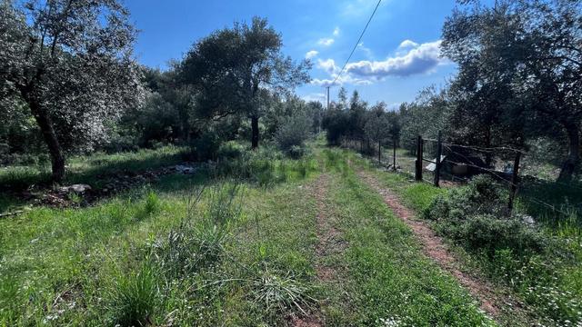 Stop’tan Göcek'te 3443m² %5 İmar Yol Su Elektrik Önünde Göcek 7 Km Satılık 5