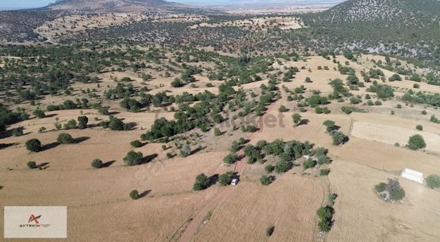 Güneysınır Kurukavak Mahallesinde 1.226 M² Müstakil Tapulu Tarla 4