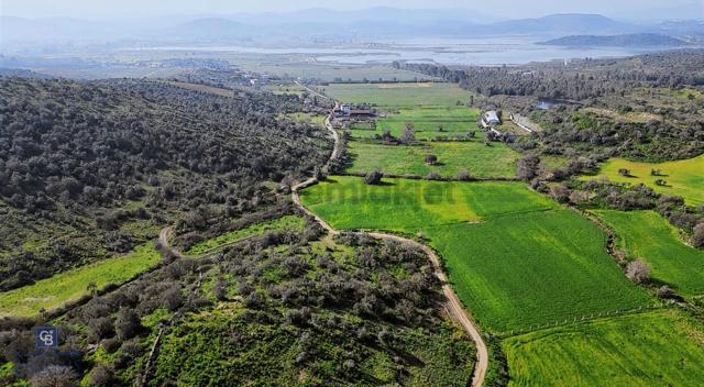 Muğla Milas Kemikler Satılık Tarla 4