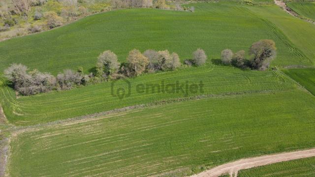 Bafra Doğankaya'da Satılık 105.260 M² Tarla Akgün Kurumsaldan 4