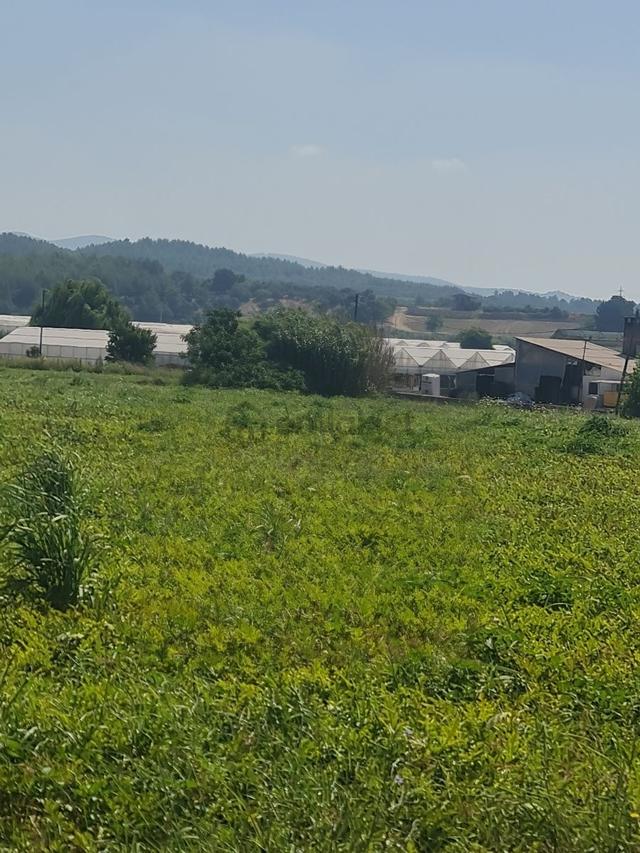 Satılık Tarla 4