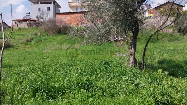 Balıkesir Edremit Yaylaönü Köyü İçinde 1153 M² Satılık Arsa 4