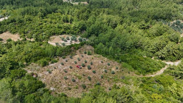 Muğla / Menteşe/ Dağpınar Mahallesi 3.009 M2 Tarla Denize 15 Km Kolay Ulaşım 4