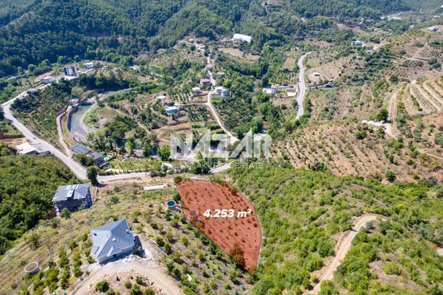 Alanya Çamlıca’da 4.253 M² Satılık Tarla - Avokado Bahçesi 3