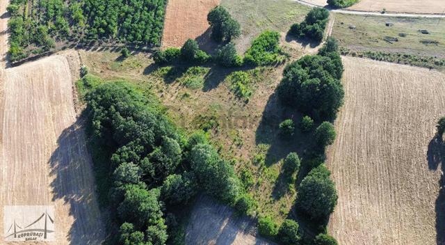 Köprübaşı Emlaktan Satılık Çamdibi Köyünde 11.675m2 Tarla 4